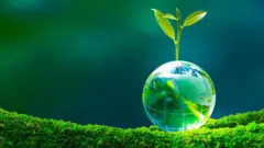 பூமியில் முதல் உயிர் தோன்றியது எப்படி? 