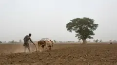 Ajjeechaan suukaneessaa maatii irratti raawwatu yaaddoo uumeera