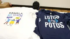 இந்திய அமெரிக்கர்கள், கமலா ஹாரிஸ், அமெரிக்க அதிபர் தேர்தல், ஜனநாயகக் கட்சி, குடியரசுக் கட்சி