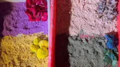 फूलों से इस तरह बनाए जाते हैं हर्बल गुलाल