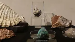 Bonecos e esculturas em museu