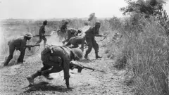 దారా ఫిరోజ్ చినాయ్ 