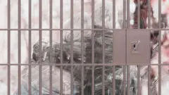 Колаж - літня пара спинами за решіткою