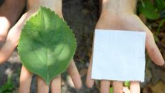 Руки с листом растения и квадратом туалетной бумаги