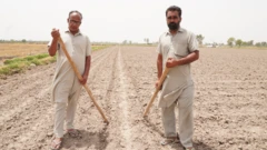 ਪਿੰਡਵਾਸੀ