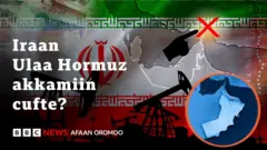 Ulaa Hormuuz