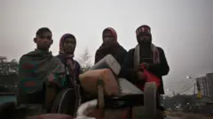 এবারে এখনো সেভাবে শীতের প্রকোপ পড়েনি