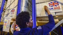 UK govment go cut foreign aid and Africa go dey more impacted