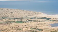 કચ્છનું રણ, 26 જાન્યુઆરી 2001નો ભૂકંપ, અલ્લાહબંધ કેવી રીતે બંધાયો, અલ્લાહબંધ ક્યાં આવેલો છે, પાકિસ્તાનનું બલૂચિસ્તાન, કરાચી, 1819નો કચ્છનો ભૂકંપ, સિંધુ નદીની ઉપશાખા, બીબીસી ગુજરાતી સાથે સમજો 