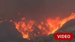 லாஸ் ஏஞ்சலிஸ் நகரில் வேகமாகப் பரவும் புதிய காட்டுத் தீ- கட்டுக்குள் கொண்டுவர முடியுமா?