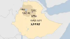 ካርታ