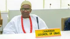 Aworan alaga igbọmọ lọbalọba Ekiti