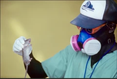 Dókítà tó mú eku dání, wọ ìbòmú àti ẹnu