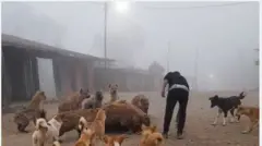 Nama sareefi waraabessaaf soorat akennaa jiru