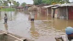 Amazi ya Rusizi mu mihana yo mu Gatumba, Nzero 2024