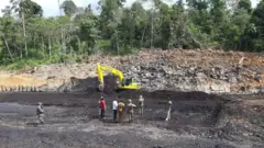 Salah satu lokasi tambang batu bara ilegal di Desa Suko Mulyo, Penajam Paser Utara.