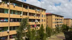 ኮንዶ