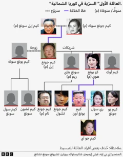 رسم بياني يوضح أربعة أجيال من العائلة الحاكمة في كوريا الشمالية. يظهر مؤسس الدولة كيم إيل سونغ وزوجته كيم جونغ سوك في الأعلى، بينما يرد كيم جونغ إيل وزوجته كيم يونغ سوك ورفيقاته سونغ هاي ريم وكو يونغ هوي وكيم أوك في المستوى الثاني.
ويعرض المستوى الثالث أبناء كيم جونغ إيل من شريكاته الأربع، ومن بينهم كيم سول سونغ، وكيم تشون سونغ، وكيم جونغ نام، وكيم جونغ تشول، وكيم جونغ أون، وكيم يو جونغ. وتظهر إلى جانب كيم جونغ أون زوجته ري سول جو. أما ابنته جو آي فترد في أسفل الرسم.
وقد حُذف بعض أفراد العائلة للتبسيط.