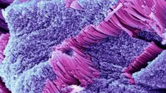 O colágeno ajuda a formar tecidos conectivos e é fundamental para a pele, ossos e cartilagens do corpo.