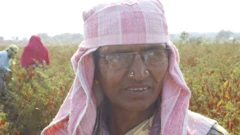 कर्जवसुलीसाठी एजंटने आदिवासी महिलेच्या घरासमोरच सुरू केला स्वयंपाक