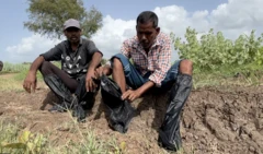 લૅપ્ટોસ્પાયરોસીસ