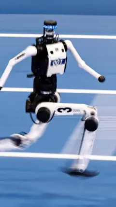 Robô