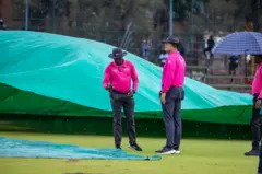 Cricket