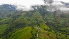 Foto aérea de Micay, un fuerte enclave cocalero en el Cauca.