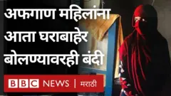 तालिबान