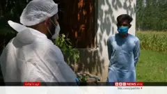 مریم 