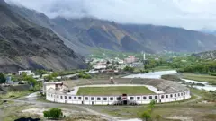 نمای از دره پنجشیر که در تابستان به صورت سرسبز و استدیوم بزرگ پنجشیر دیده می‌شود 