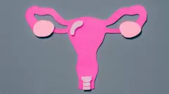 Útero feito com recortes de papel