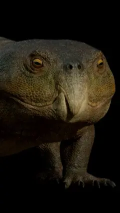 २३ करोड वर्ष पुरानो जीव।