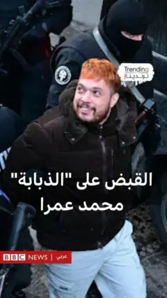 القبض على "الذبابة" محمد عمرا