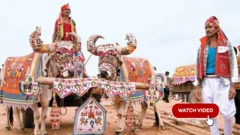 બીબીસી ગુજરાતી, ગુજરાત, તરણેતરનો મેળો, સુરેન્દ્રનગર, લાડુ ખાવાની સ્પર્ધા