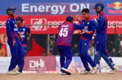 क्रिकेट 