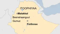 Maappii Beenishaanguula