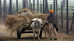 ਭਾਰਤ-ਪਾਕ ਬਾਰਡਰ