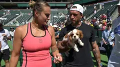 sabalenka, njen verenik i kuče