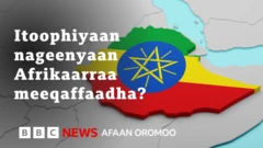 Nageenya addunyaa