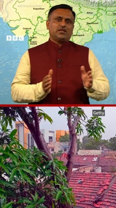 વરસાદ, ચોમાસું, ગુજરાત, બીબીસી