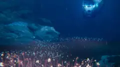 این موجودات در عمق بیش از ۹ کیلومتری اقیانوس زندگی می‌کردند.