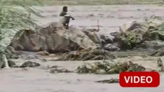 குஜராத்: கால்நடைக்கு தீவனம் சேகரிக்கச் சென்று ஆற்று வெள்ளத்தில் சிக்கிய நபர்