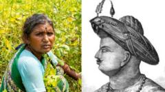 महाराष्ट्रासाठी महत्त्वाचं काय? शेती, शिक्षण, आरोग्याचे प्रश्न की 'टिपू सुलतान'चा वाद?