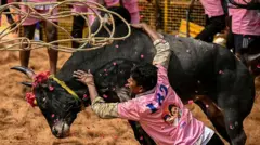 ஜல்லிக்கட்டு