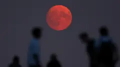 يتجمع الناس لمشاهدة القمر وسط السماء الصافية