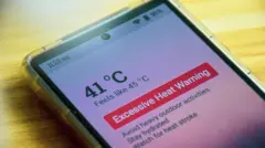 मोबाईल फोन