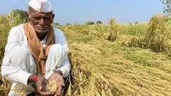 शेतकरी फकिरराव मोरे