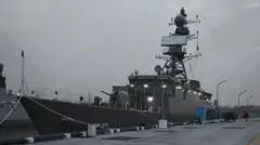 آئی آر آئی ایس دینا کا انڈیا پہنچنے پر استقبال (فائل فوٹو)