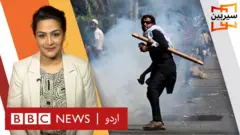 سیربین